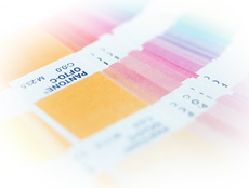 Polidor Chromolux temelj Na zraku sušivi bijeli temelj izrađen na osnovi uljem modificirane poliuretanske smole uz dodatak titan dioksida